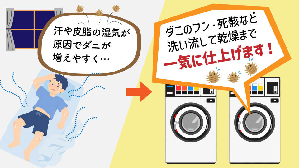 夏こそ寝具を丸洗いのイメージ画像